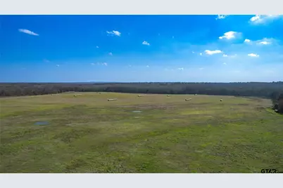 80Ac Lot2 County Road 2376, Winnsboro, TX 75494 - Photo 11