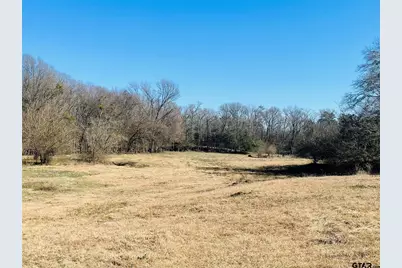 22Ac Lot2A County Road 2376, Winnsboro, TX 75494 - Photo 5