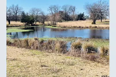 22Ac Lot2A County Road 2376, Winnsboro, TX 75494 - Photo 3