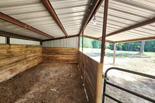 9937 Co Rd 3250, Timpson, TX 75975 - Photo 9