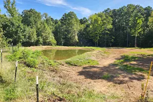 9937 Co Rd 3250, Timpson, TX 75975 - Photo 3