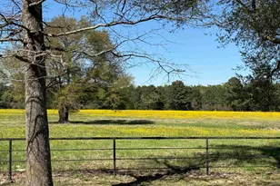 434 Co Rd 3433, Jacksonville, TX 75766 - Photo 5