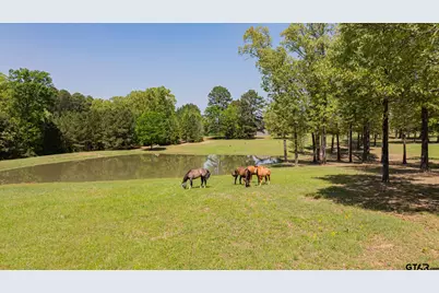 19980 Fm 449, Longview, TX 75605 - Photo 43