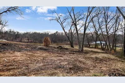 14419 W Peninsula Road, Whitehouse, TX 75791 - Photo 9