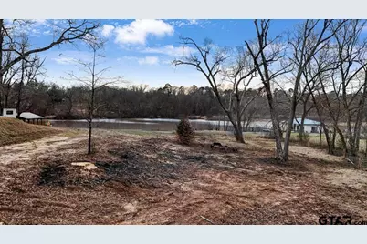 14419 W Peninsula Road, Whitehouse, TX 75791 - Photo 7