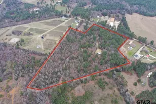 18763 Co Rd 437, Lindale, TX 75771 - Photo 31