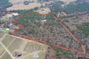 18763 Co Rd 437, Lindale, TX 75771 - Photo 35