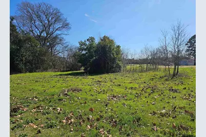 Tbd Fm 1002 (.58 Acres), Big Sandy, TX 75755 - Photo 3
