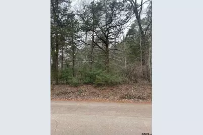 11372 Cr 2326 (Caleb), Tyler, TX 75707 - Photo 1