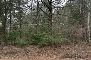 11372 Cr 2326 (Caleb), Tyler, TX 75707 - Photo 1