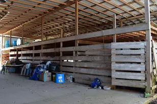 195 Cr 2468, Winnsboro, TX 75494 - Photo 19