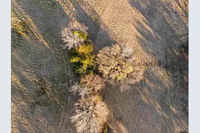 12753 Ridgeway Court, Winona, TX 75792 - Photo 3