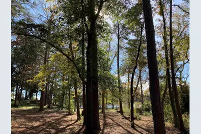 11524 & 11536 Drake's Landing, Frankston, TX 75763 - Photo 19