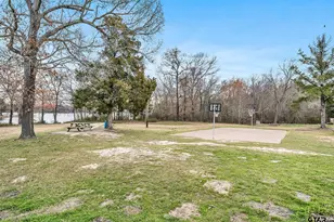 110 W Sycamore Ln, Murchison, TX 75778 - Photo 41