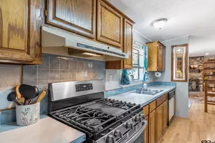 110 W Sycamore Ln, Murchison, TX 75778 - Photo 15