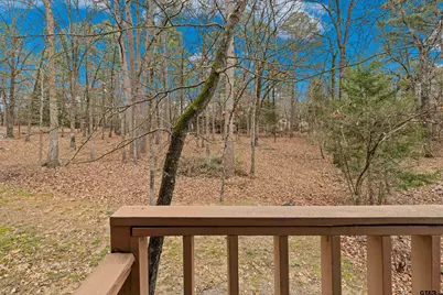 428 Cherrywood Lane, Holly Lake Ranch, TX 75765 - Photo 33