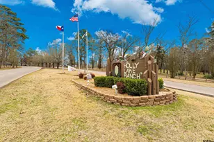 428 Cherrywood Ln, Holly Lake Ranch, TX 75765 - Photo 45