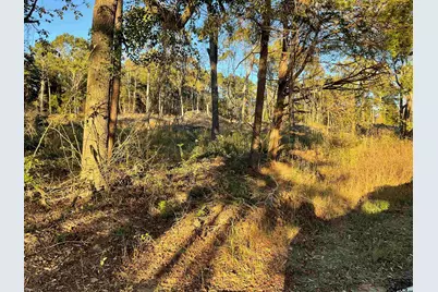 13805 Cr 291, Tyler, TX 75707 - Photo 5
