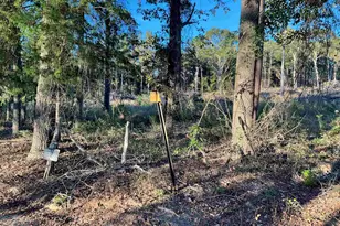 13805 Cr 291, Tyler, TX 75707 - Photo 1