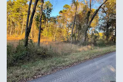 13805 Cr 291, Tyler, TX 75707 - Photo 3