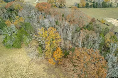 21540 Riva Ridge Dr, Tyler, TX 75704 - Photo 5