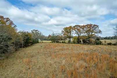 21540 Riva Ridge Dr, Tyler, TX 75704 - Photo 9