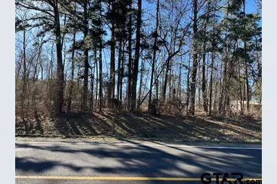 17001 Cr 1261, Flint, TX 75762 - Photo 3