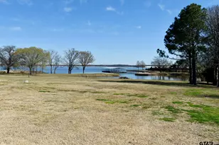 4868 N Fm 17, Alba, TX 75410 - Photo 9