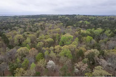 3719 Pine Wood Way (South 10.322 Acres), LaRue, TX 75770 - Photo 7
