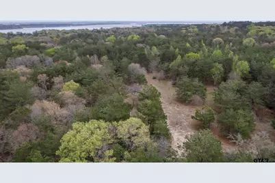 3719 Pine Wood Way (South 10.322 Acres), LaRue, TX 75770 - Photo 5