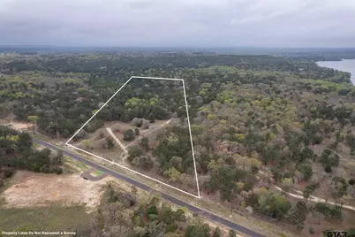 3719 Pine Wood Way (South 10.322 Acres), LaRue, TX 75770 - Photo 1