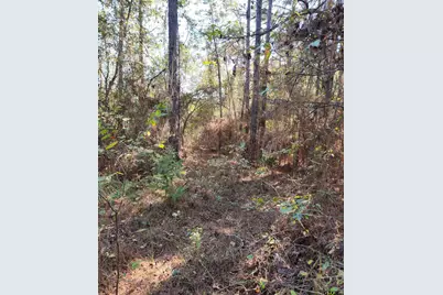 Tbd Fm 3001, Marshall, TX 75670 - Photo 19