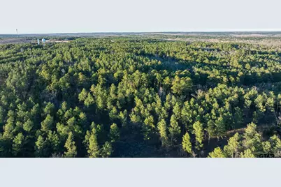 000 Hwy 64 #1, Ben Wheeler, TX 75754 - Photo 1