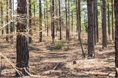 000 Hwy 64 #1, Ben Wheeler, TX 75754 - Photo 13