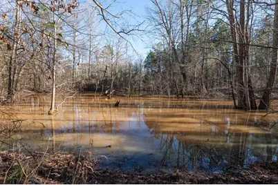 000 Hwy 64 #1, Ben Wheeler, TX 75754 - Photo 25
