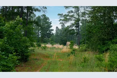000 Hwy 64 #1, Ben Wheeler, TX 75754 - Photo 25
