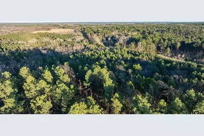 000 Hwy 64 #1, Ben Wheeler, TX 75754 - Photo 33
