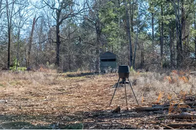 000 Hwy 64 #1, Ben Wheeler, TX 75754 - Photo 5