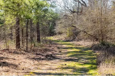 000 Hwy 64 #1, Ben Wheeler, TX 75754 - Photo 9