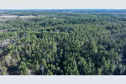 000 Hwy 64 #1, Ben Wheeler, TX 75754 - Photo 31