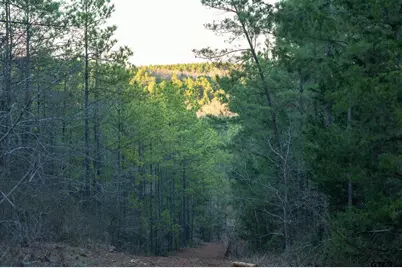 000 Hwy 64 #1, Ben Wheeler, TX 75754 - Photo 33