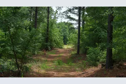 000 Hwy 64 #1, Ben Wheeler, TX 75754 - Photo 1