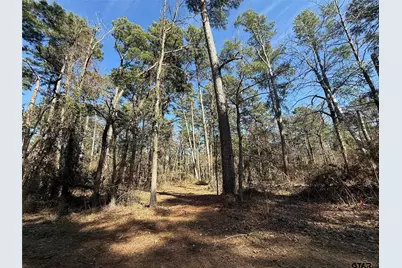 Lot 2 Private Road 8573, Winnsboro, TX 75494 - Photo 1