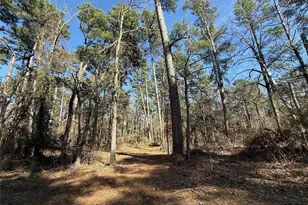 Lot 2 Private Road 8573, Winnsboro, TX 75494 - Photo 1