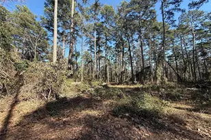 Lot 4 Private Road 8573, Winnsboro, TX 75494 - Photo 1