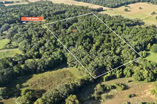 448 Private Rd 6685, Hawkins, TX 75765 - Photo 3