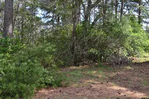 706 Duckenfield Ave, Tyler, TX 75701 - Photo 1