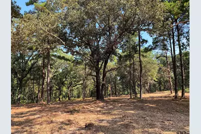 3196 Shadow Pine  Dr Lot 46, LaRue, TX 75770 - Photo 3