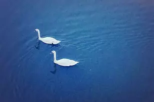 3351 Cascades Ct, Tyler, TX 75709 - Photo 33