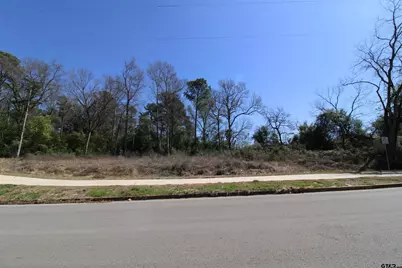 1102 S Peach Ave, Tyler, TX 75701 - Photo 3